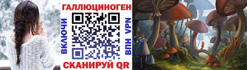 Псилоцибиновые грибы Psilocybine cubensis  blacksprut ссылки  нарко площадка телеграм  Уссурийск 